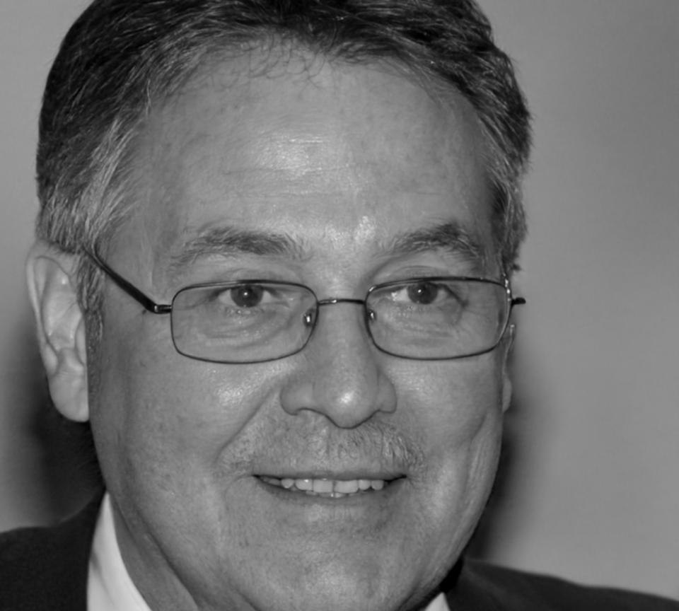 Portrait professionnel de Vincent Delacroix, analyste senior